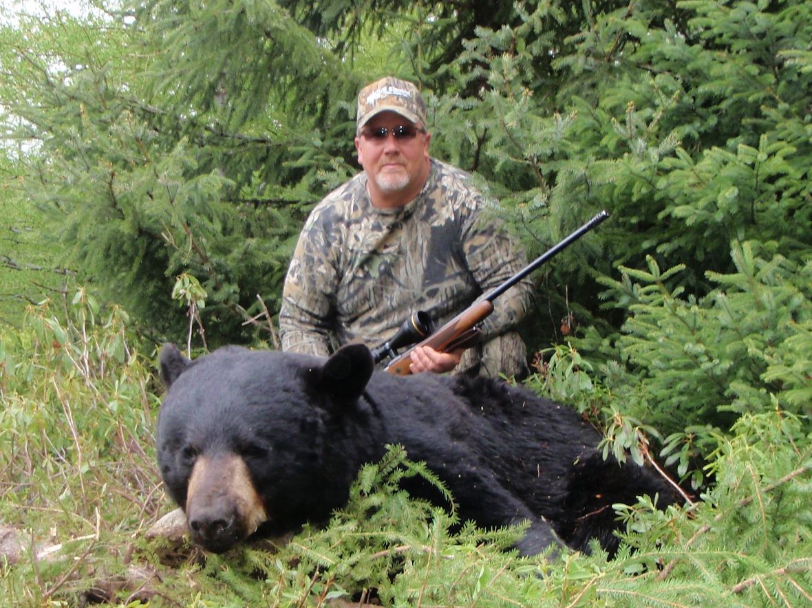 Black Bear Hunting Newfoundland